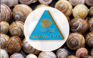 Caracol Mar